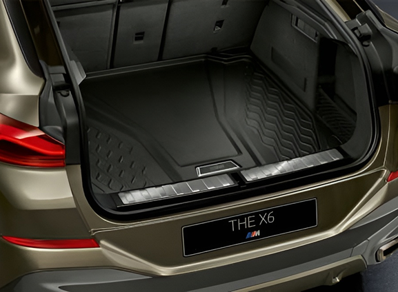 BMW&nbsp;X6 (2021) 