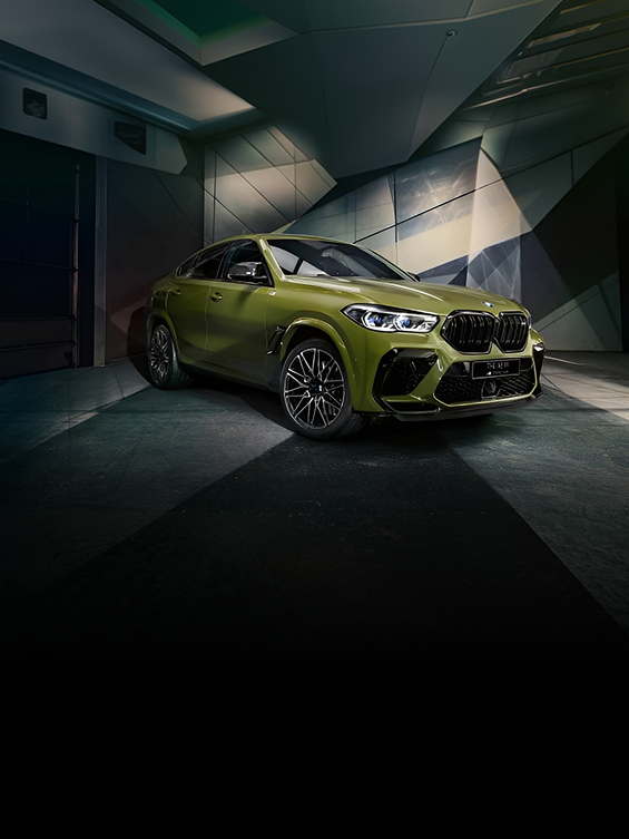 BMW&nbsp;X6 (2021) 