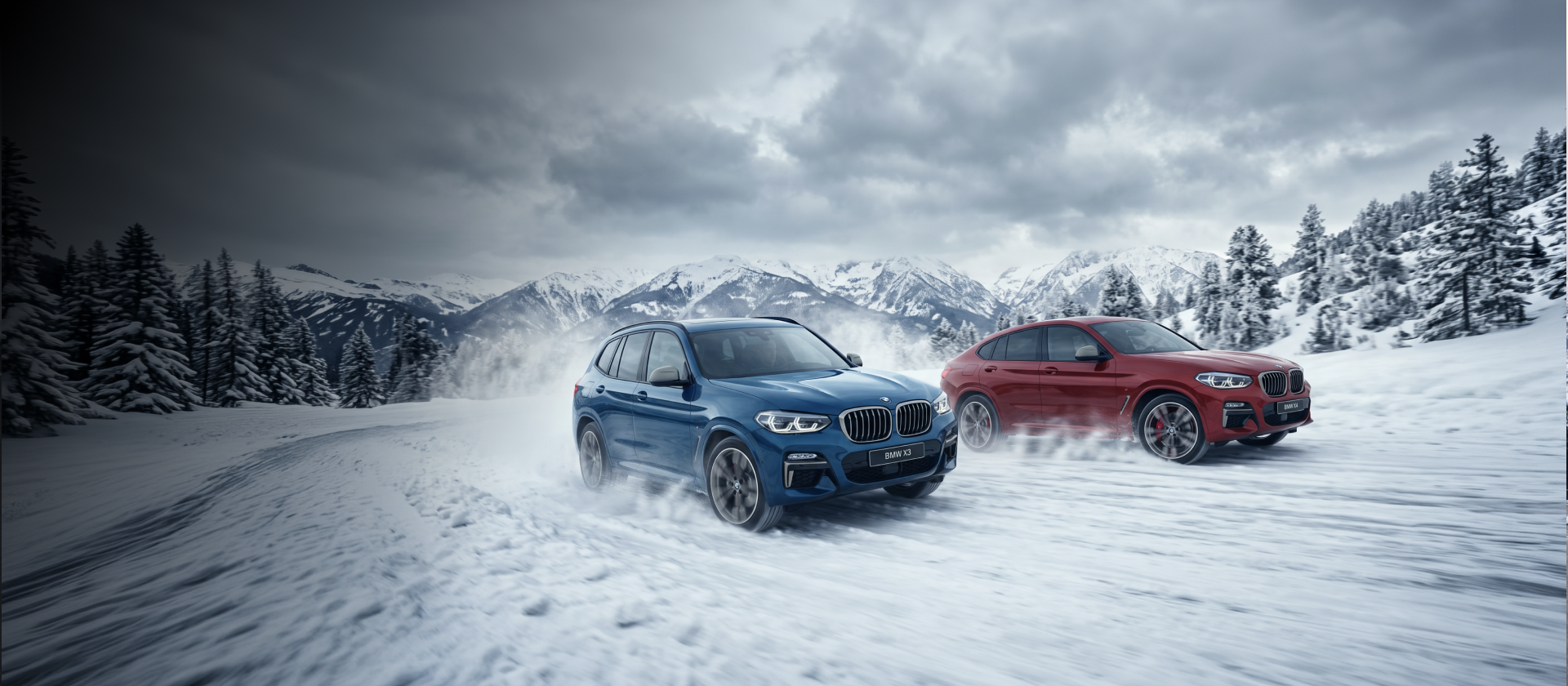 Комплекты колес с зимними шинами для BMW&nbsp;X3 / BMW&nbsp;X4 Автомобили Баварии НН