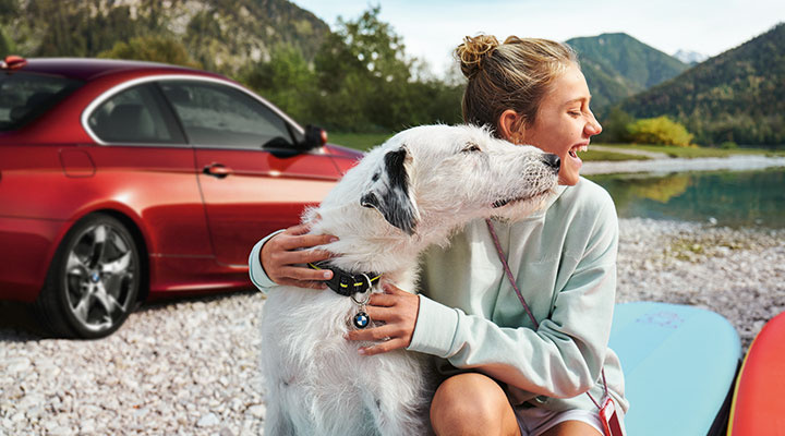 Общие Авилон