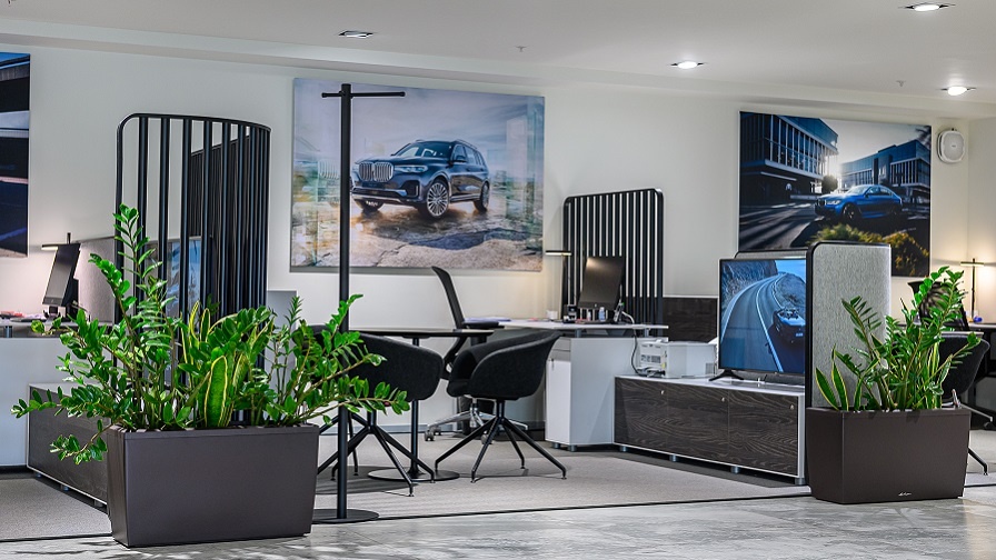 Общие Рольф-Премиум