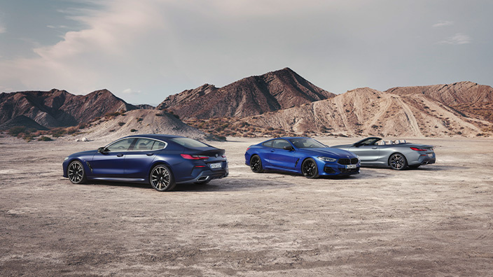 Общие Рольф-Премиум