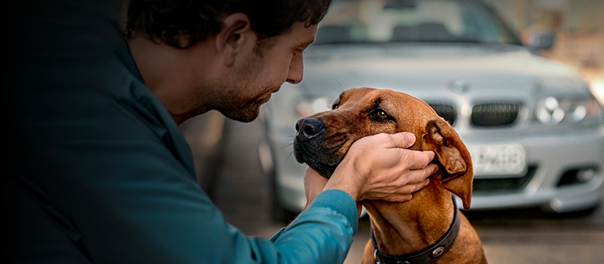 Главная ЭлитАвто