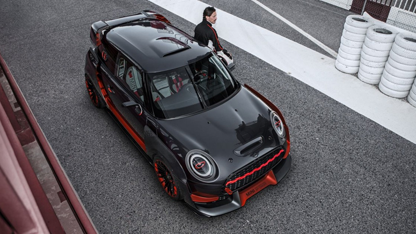 МАКСИМАЛЬНЫЙ ВОСТОРГ MINI. ООО «БМВ Русланд Трейдинг»