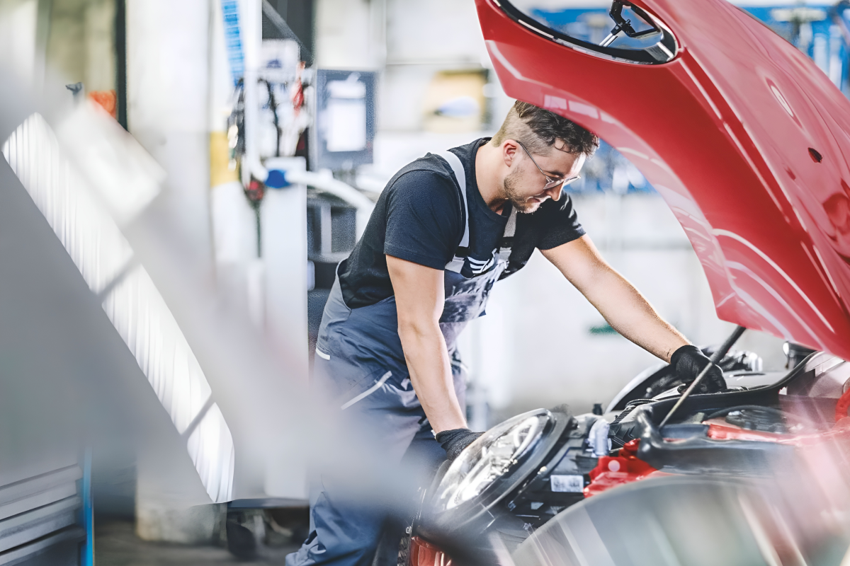 Владельцам Атлас