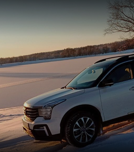 Изображение на странице Сообщество владельцев GAC GAC MOTOR Елена_Ровенская.png