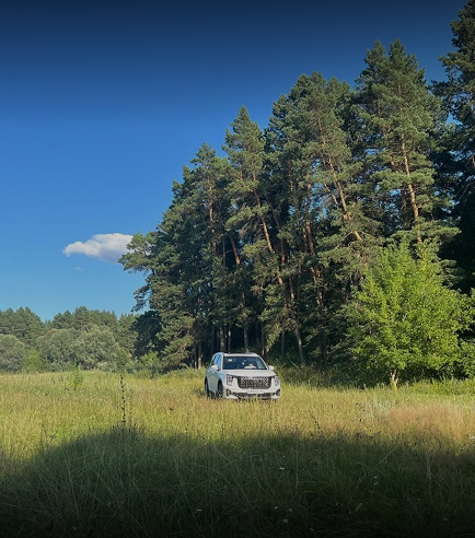 Изображение на странице Сообщество владельцев GAC GAC MOTOR Денис_Александров.png