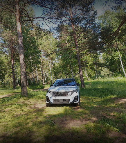 Изображение на странице Сообщество владельцев GAC GAC MOTOR Мария_Михайлюк.png