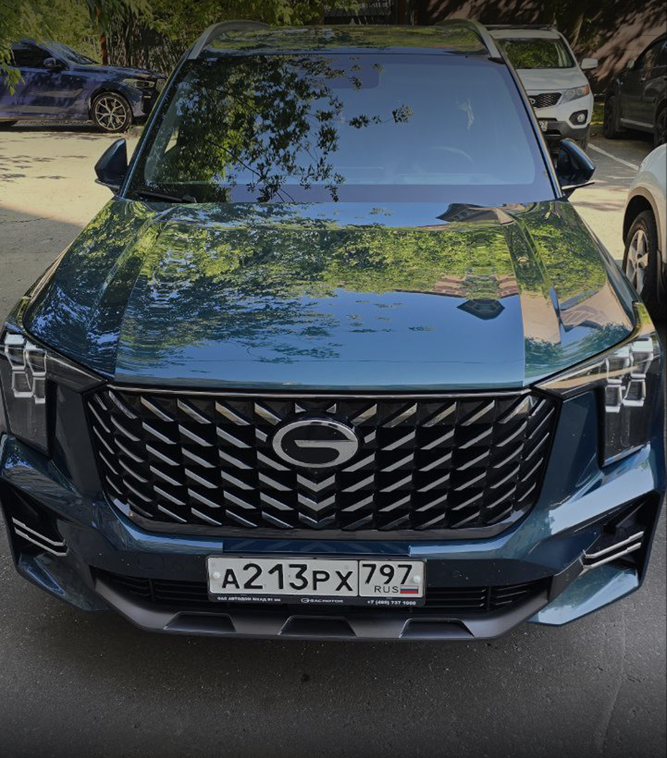 Изображение на странице Сообщество владельцев GAC GAC MOTOR Анатолий_Стабров-1.png